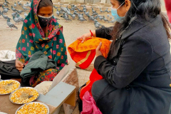 IMG_20201212_153940_606-1